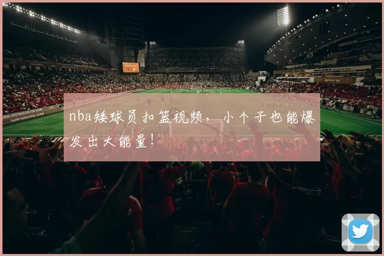 nba矮球员扣篮视频，小个子也能爆发出大能量！