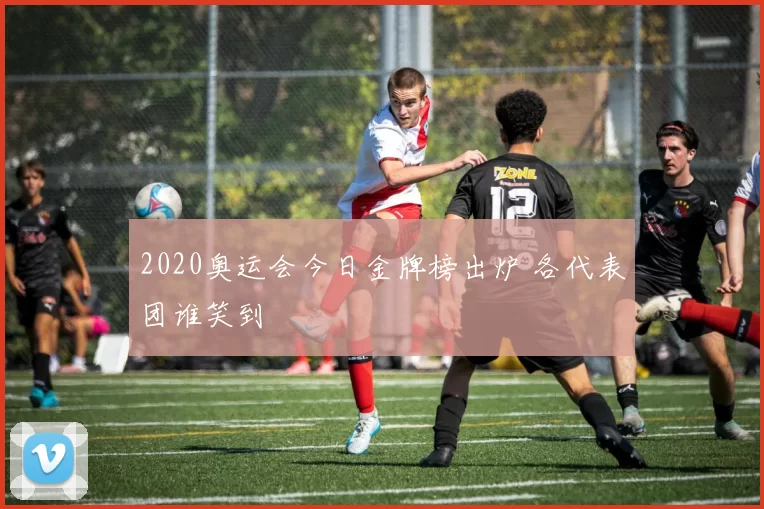 2020奥运会今日金牌榜出炉 各代表团谁笑到