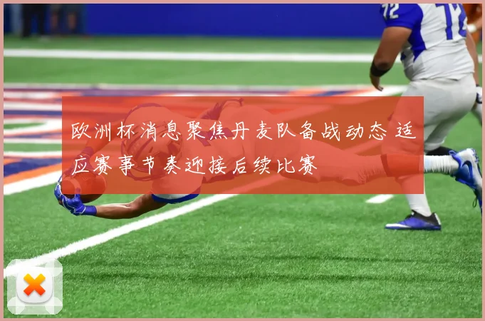 欧洲杯消息聚焦丹麦队备战动态 适应赛事节奏迎接后续比赛