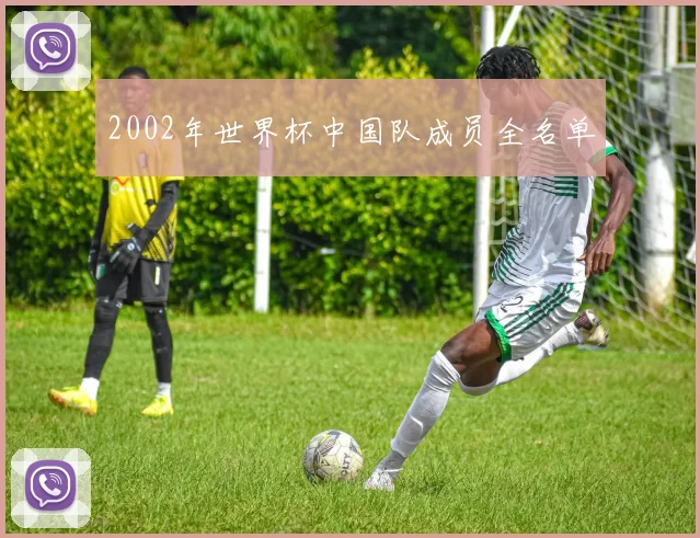 2002年世界杯中国队成员全名单