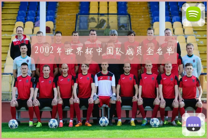2002年世界杯中国队成员全名单