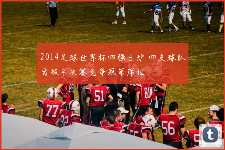 2014足球世界杯四强出炉 四支球队晋级半决赛竞争冠军席位