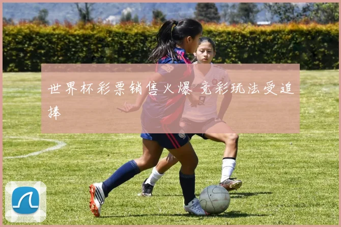 世界杯彩票销售火爆 竞彩玩法受追捧